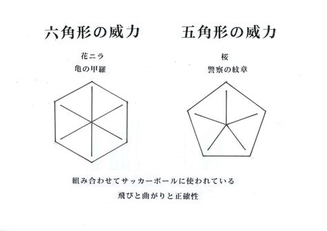 風水 ひし形|五角形や六角形の土地なら風水はどうですか？